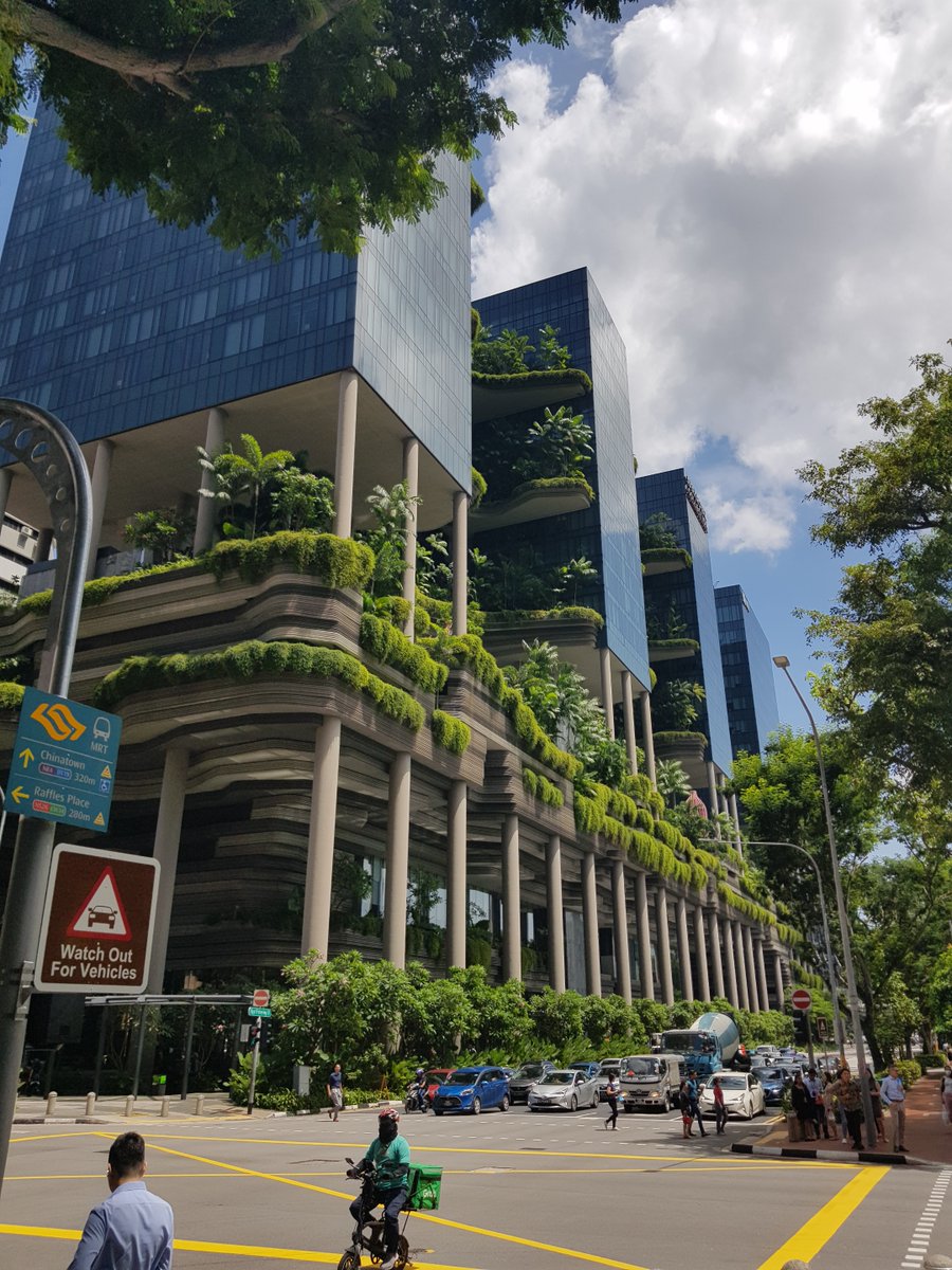 Andrew Cameron tweet media