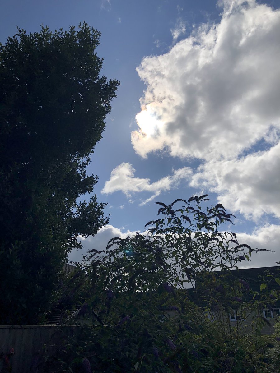 Morniiiiiiing… time for some savage revisions!!! 📚