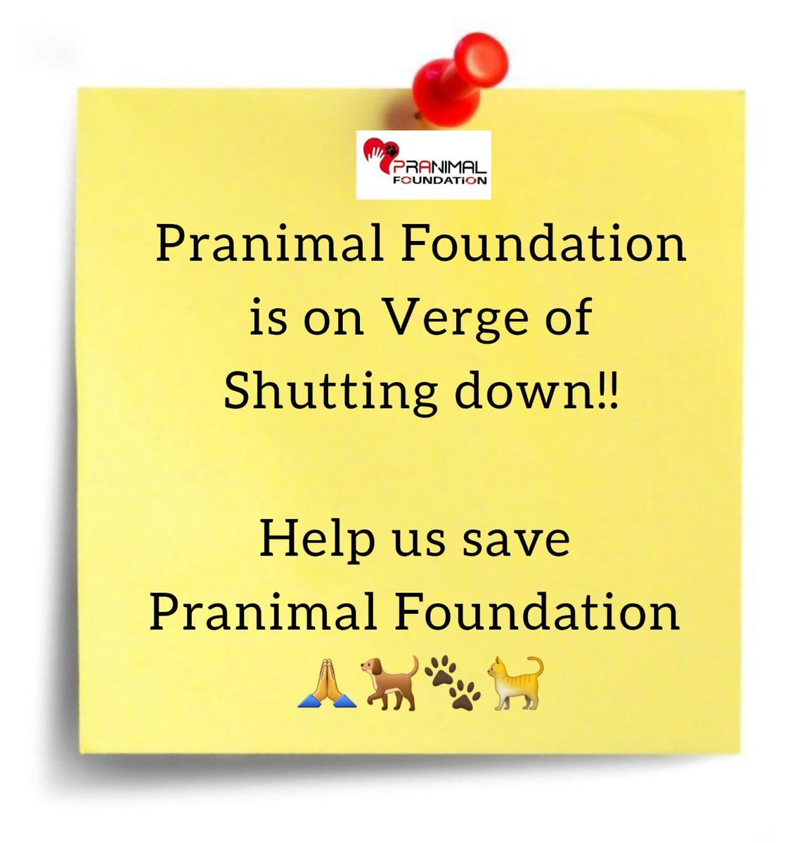 Pranimal_NGO's tweet photo. 🚨URGENT APPEAL🚨 We are faces closure due to a financial crisis. Help us. Donate now! Gpay/Phonepay - 9697005454 UPI - pranimalfoundation-1@oksbi 
Bank A/c- IDFC FIRST BANK Acc No - 10126638403 IFSC - IDFB0041374 
Website - https://t.co/9QD0FPWSyX #AnimalWelfare #SavePranimals https://t.co/ycuzQaLiU5