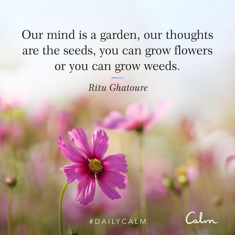 Ileane's tweet image. #DailyCalm