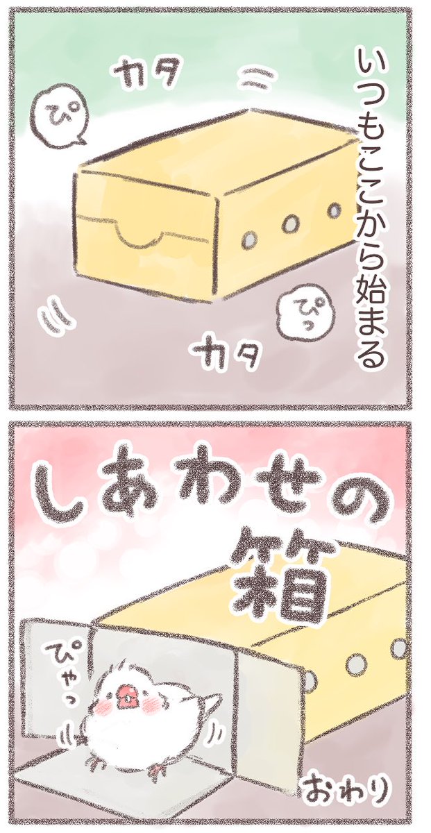 しあわせの箱📦(2/2)