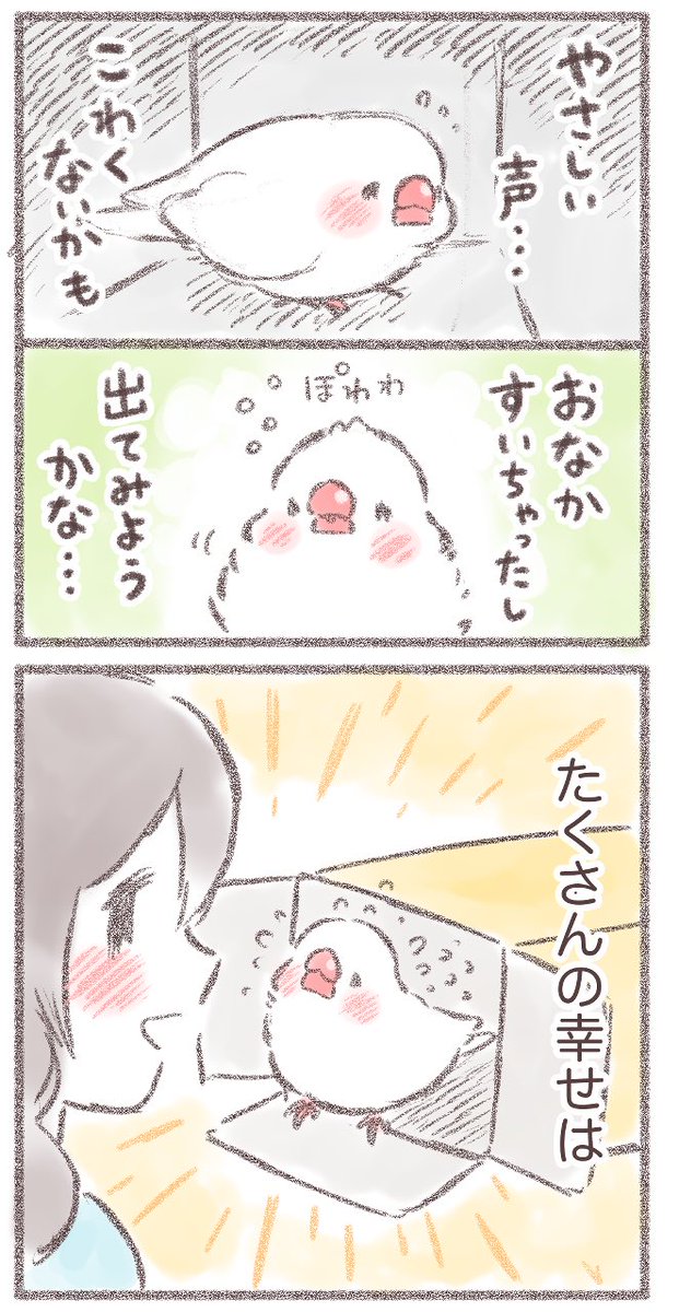 しあわせの箱📦(2/2)