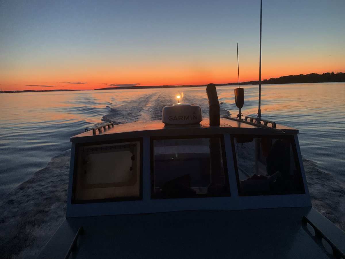 Steve Train tweet media