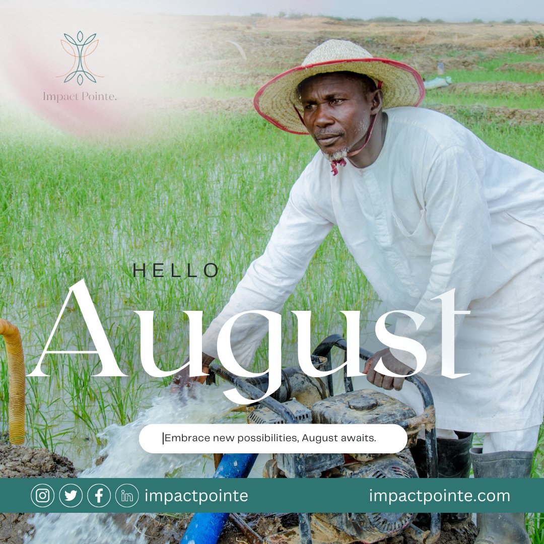 ImpactPointe's tweet photo. Happy New Month to all our amazing clients and partners!
As we usher in the new month of August, we take this moment to express our gratitude for the trust you have placed in Impact Pointe Consultancy Limited. 🌟🤝 #Impactpointe #August1stTweetOutDay #partnerships https://t.co/SuLN2DRjBl