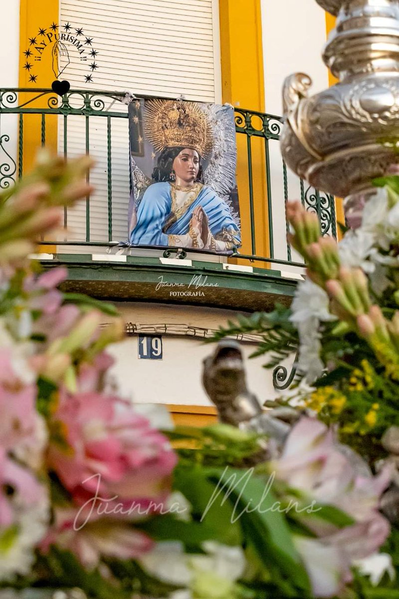 Dios te salve María, llena eres de gracia; el Señor es contigo, bendita tú eres entre todas las mujeres, y bendito es el fruto de tu vientre, Jesús. Santa María, Madre de Dios, ruega por nosotros pecadores, ahora y en la hora de nuestra muerte. Amén

#OracionesPurisima