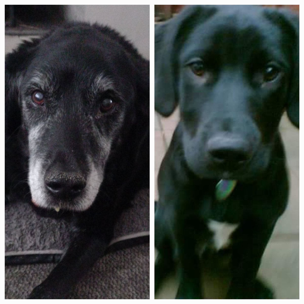 Simon Doyle tweet media