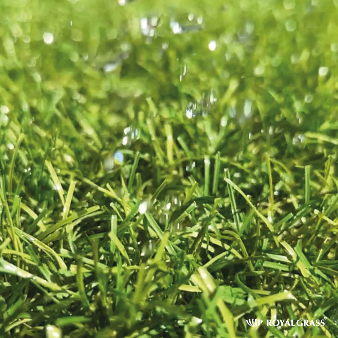 #ArtificialGrass comes in different shades of green, lengths, and textures, aiming to imitate natural grass. 

It is available in various styles to suit different preferences and purposes.

Take a look at our #RoyalGrass collection:
bit.ly/3OrIMek

#RoyalGrassUK