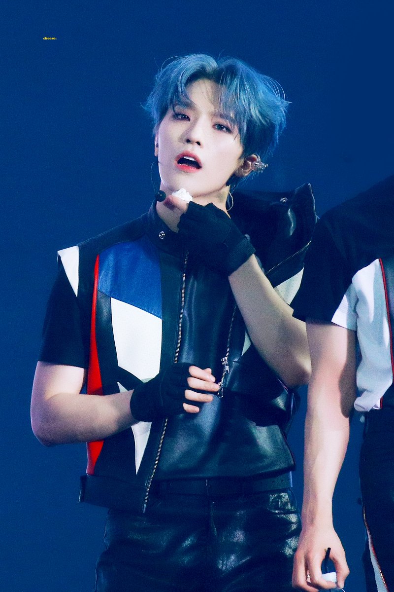 230721 아름 답 .. . . . #디노 #dino
