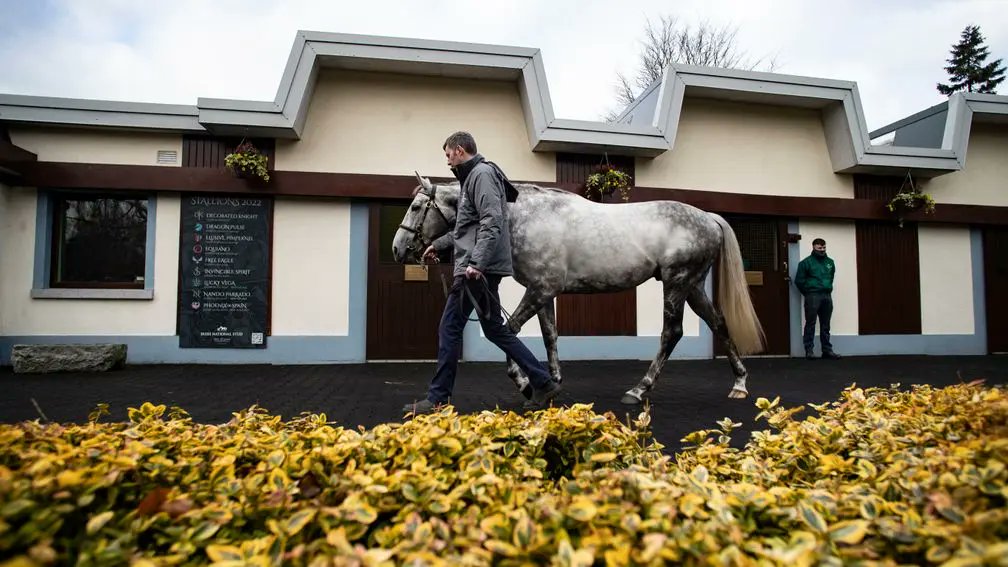 A first Group winner for first-season sire Phoenix Of Spain as Haatem lands the Vintage Stakes at Goodwood. The colt, bred by Hyde Park Stud out of the winning Cape Cross mare Hard Walnut, sold to Peter and Ross Doyle for 27,000gns from Sherbourne Lodge at Tattersalls Book 2.