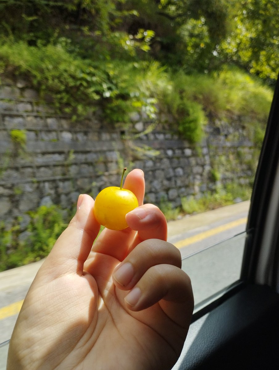 dr_ashi345's tweet photo. #JulyDump 🌼 https://t.co/VsqPdeIOgN