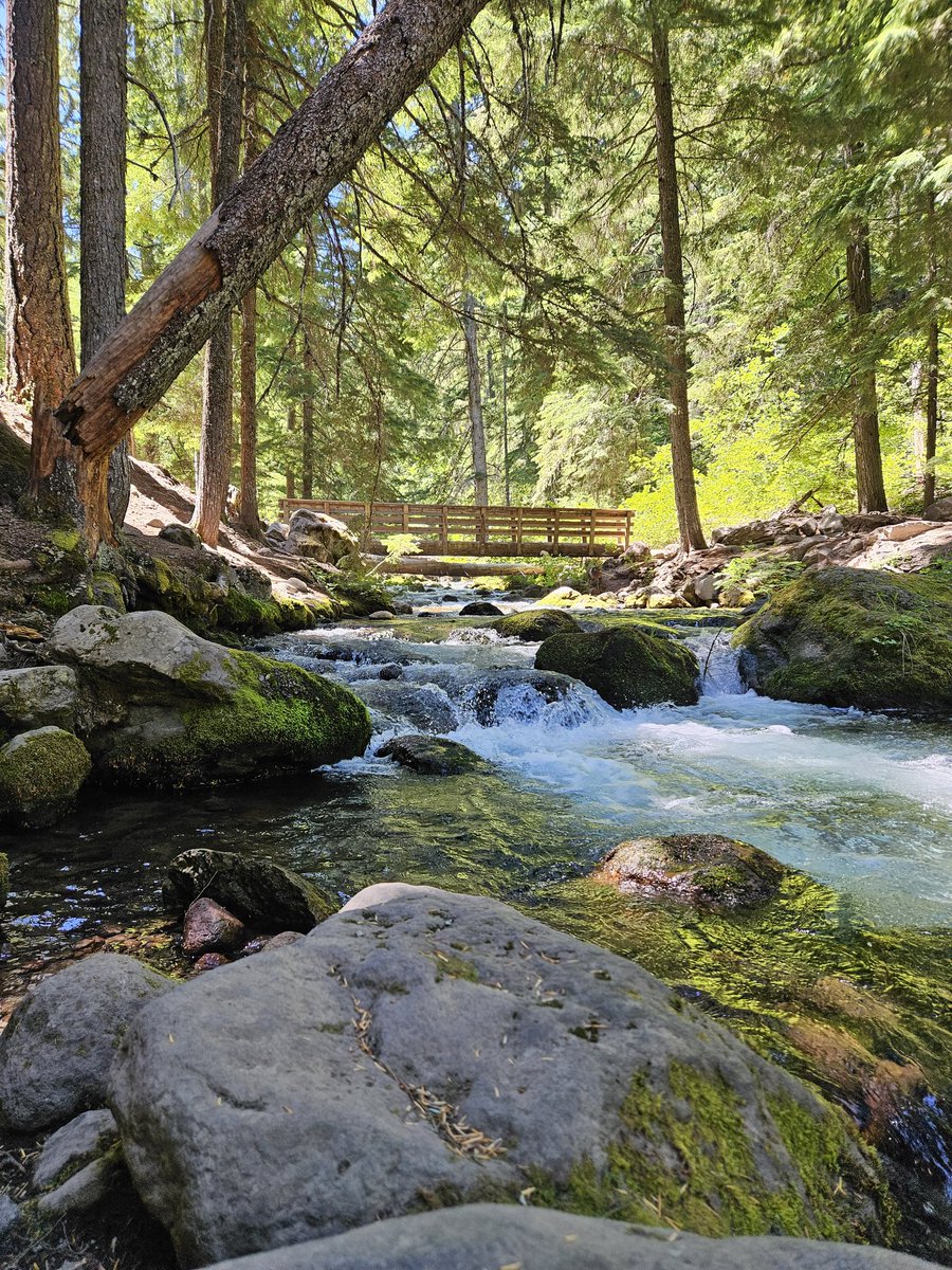 atThornhollow's tweet photo. Sweetest little bridge.
.
#mthood #woods #mthoodnationalforest #stopandlookaround #getoutside #perspective #gratitude #pnw #pnwphotography #pacificnorthwest #pnwadventures https://t.co/69g9nVvyeb