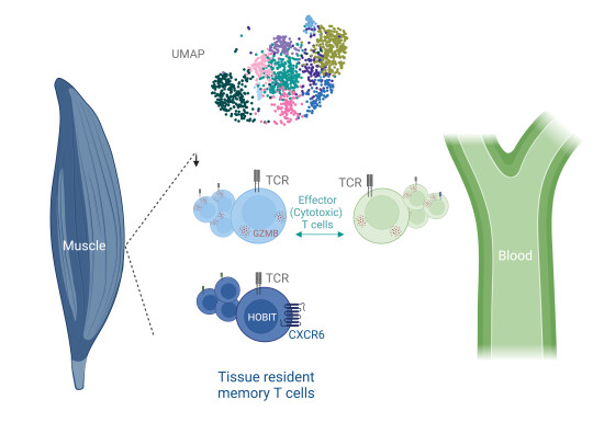 EMBO Mol. Medicine tweet media