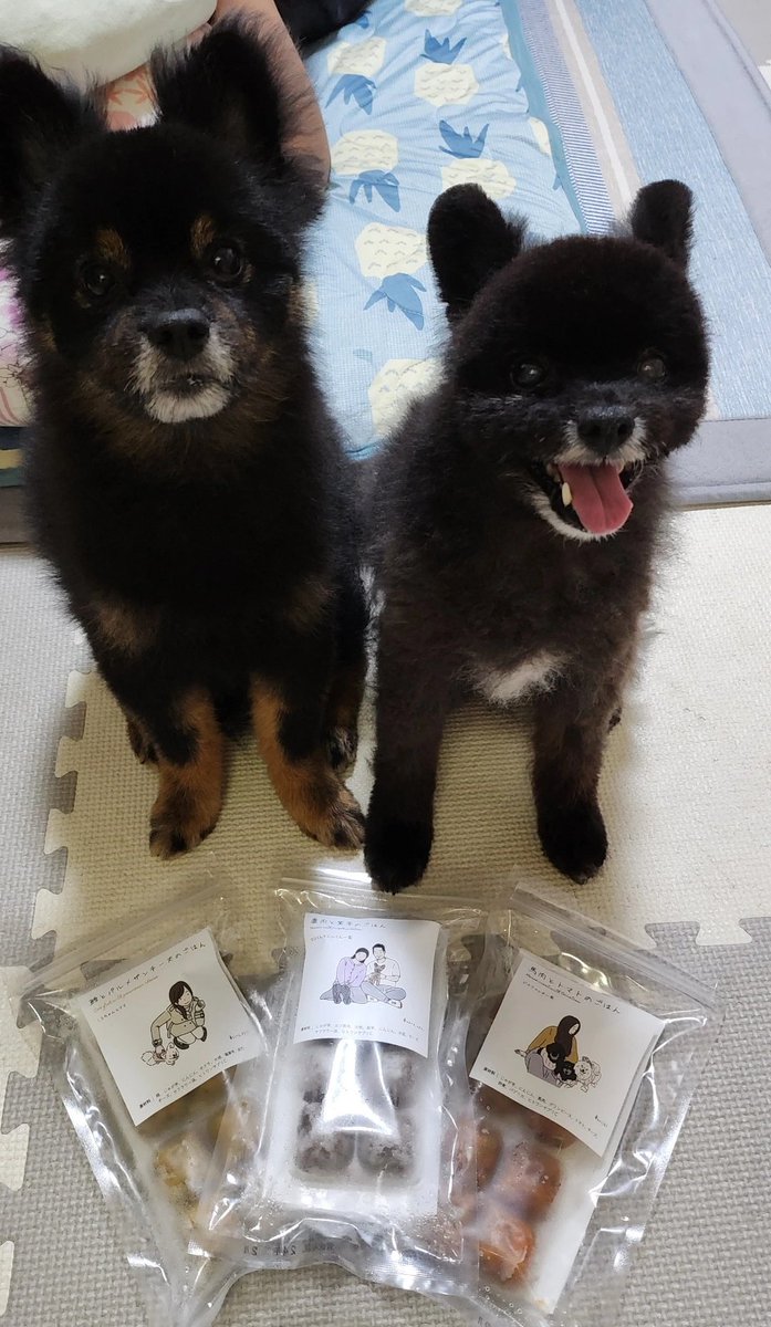 e_kat_biglove's tweet photo. #hitowan
アレトラのご飯のトッピングを変えようかなってお試しセット購入。
全部アレンに合わせて低脂肪のだけ。
お試しで1キューブ解凍してあげたらガッついてた🤣
切り替えようかな~。 https://t.co/aHgD6Zvm31