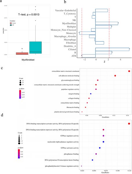 KaminskiMed's tweet photo. Finally out! #cWAS - A statistical framework that integrates GWAS/tramscripyomics to identify cell types whose genetically regulated proportions are disease associated - with IPF, COPD, Breast Cancer examples. Kudos Drs Liu, Deng, Zhao & collaborators!
https://t.co/4zqTmxqsB4 https://t.co/pCVYYrJR7U
