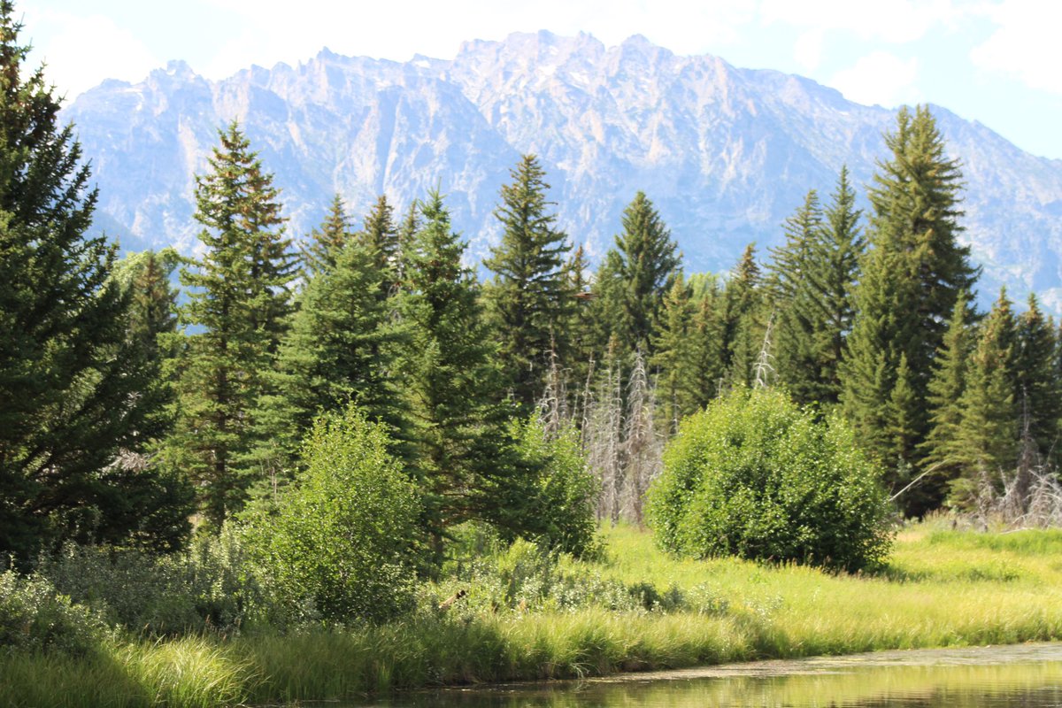 Tired. Just tired. But here is some of the Tetons, which were gorgeous. #GrandTetonNationalPark #berkeleyadventures