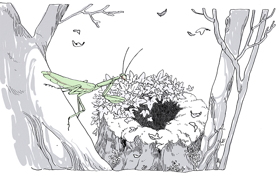 clovercomics.bsky.social tweet media