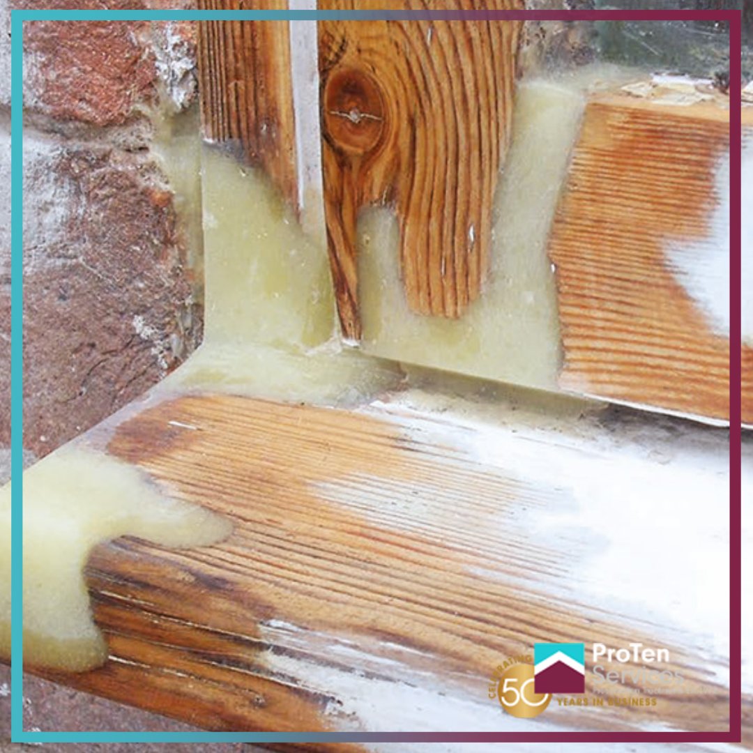 ProTenServices's tweet image. Timber resin repair is a method of structural repair used to replace decayed ends or mid-sections of timber beams, frame or joists which have decayed due to a rot or timber infestation.🧐

#ProTenServices #timber #timberresin #timberresinrepairs #ourservices #findoutmore #damp