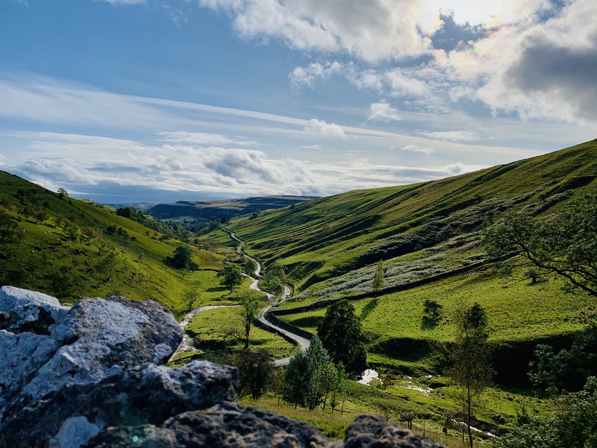 #HappyYorkshireDay ❤️