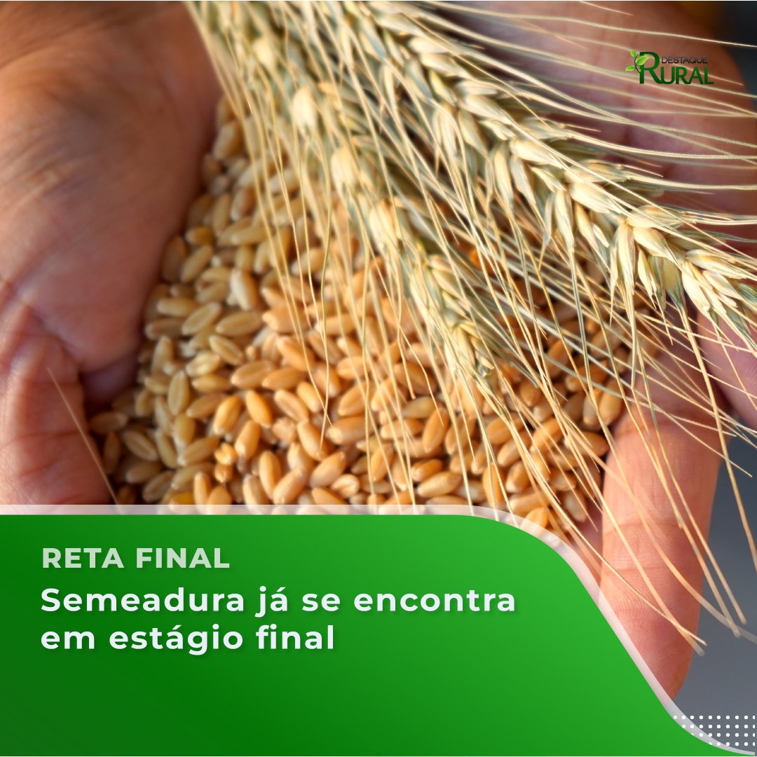 destaquerural's tweet photo. 📲Leia a notícia completa pelo link https://t.co/KZ2w6lV8rd

#destaquerural #agronegócio #agro #pecuaria #agropecuaria #produçãoagricola https://t.co/3y9nDRv5la