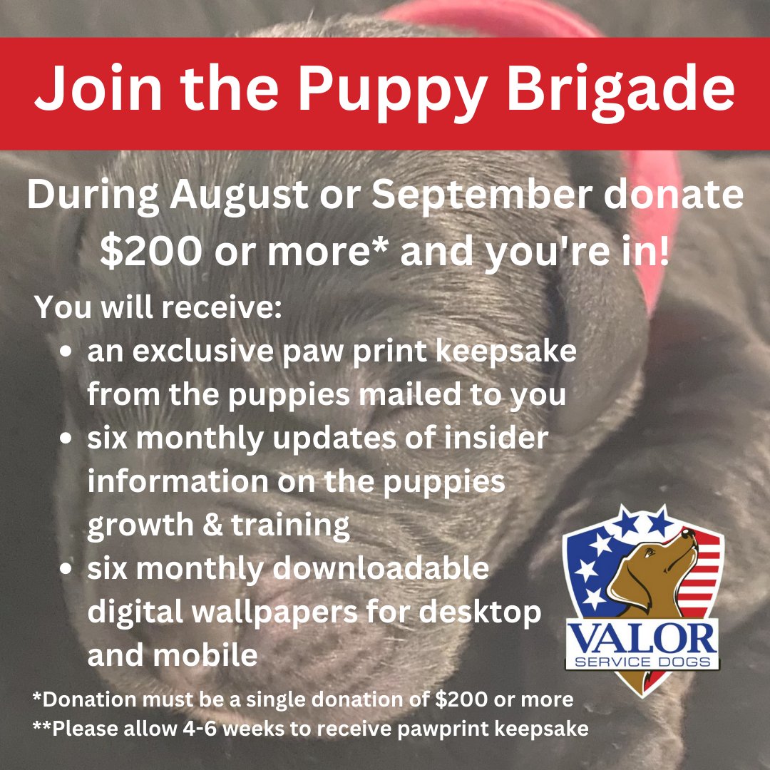 Valor Service Dogs tweet media