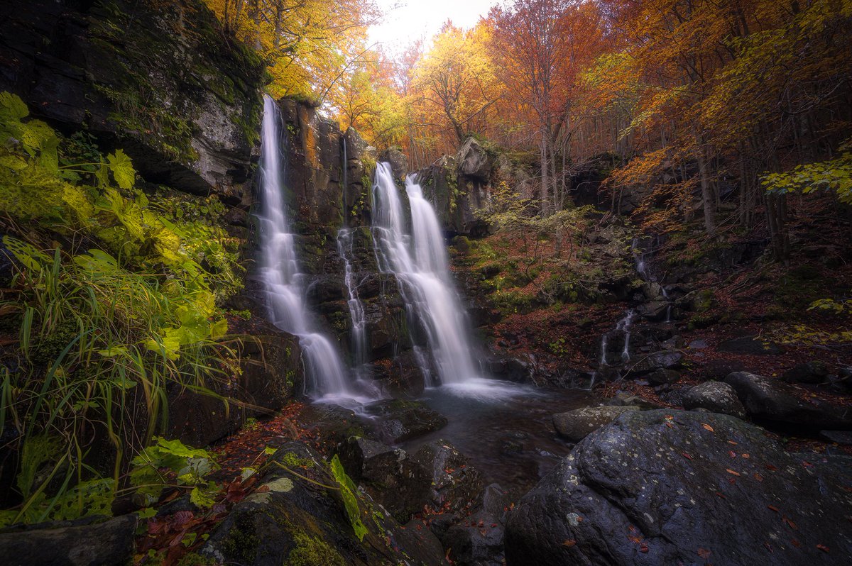 Senor Pants 👖| NicePants.Eth | Artist/Founder tweet media