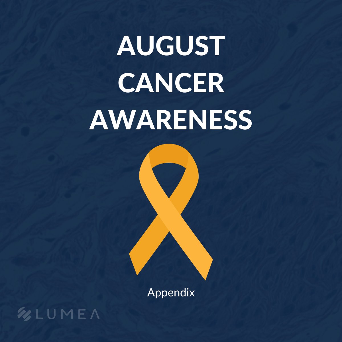 LumeaDigital's tweet image. August is cancer awareness month for appendix cancer.

#appendixcancer #appendixcancerawareness