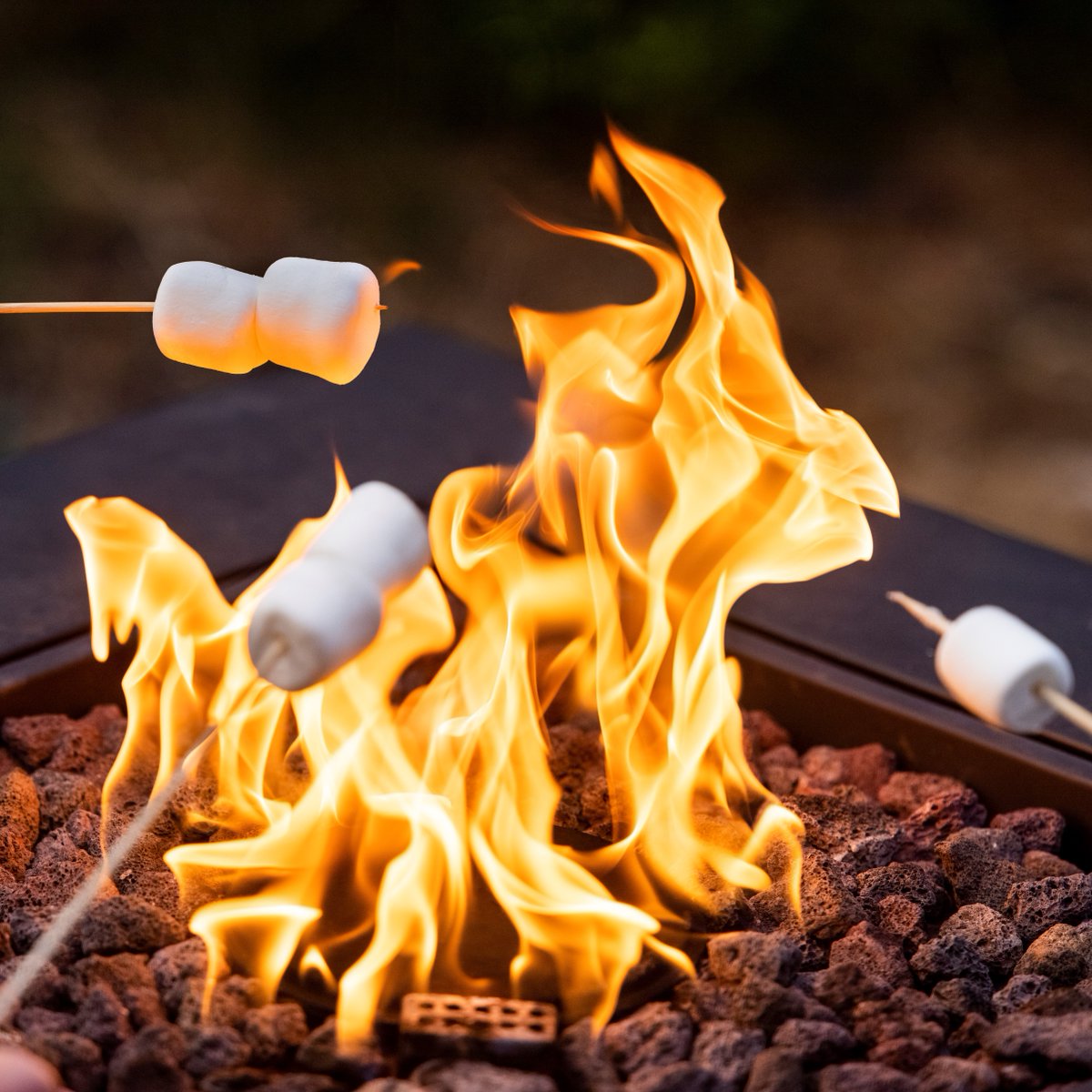 HearingSysTX's tweet photo. There’s still time to enjoy all the sounds that summer offers! From birds chirping to the crackling of a campfire, hearing aids can help you get back into your good weather groove.

#Summer #Camping #Hearing https://t.co/G8jWWdIdHE