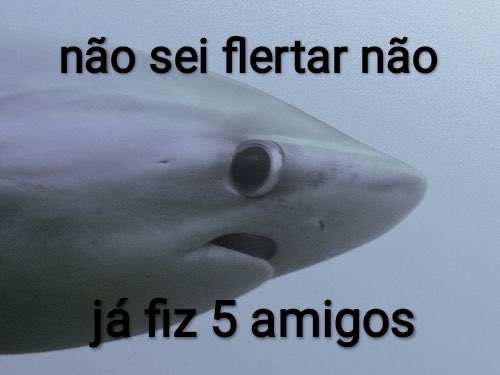 se a terra não é plana como explica o céu reto? (@moreiraviw) on Twitter photo 