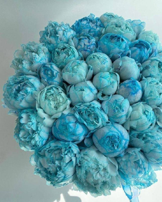blue peonies <3