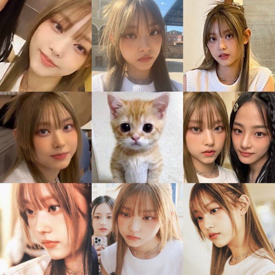 mo9uHR's tweet photo. 치즈냥이 넘넘 쪼음..🐱💛 https://t.co/54QgQDWOUY