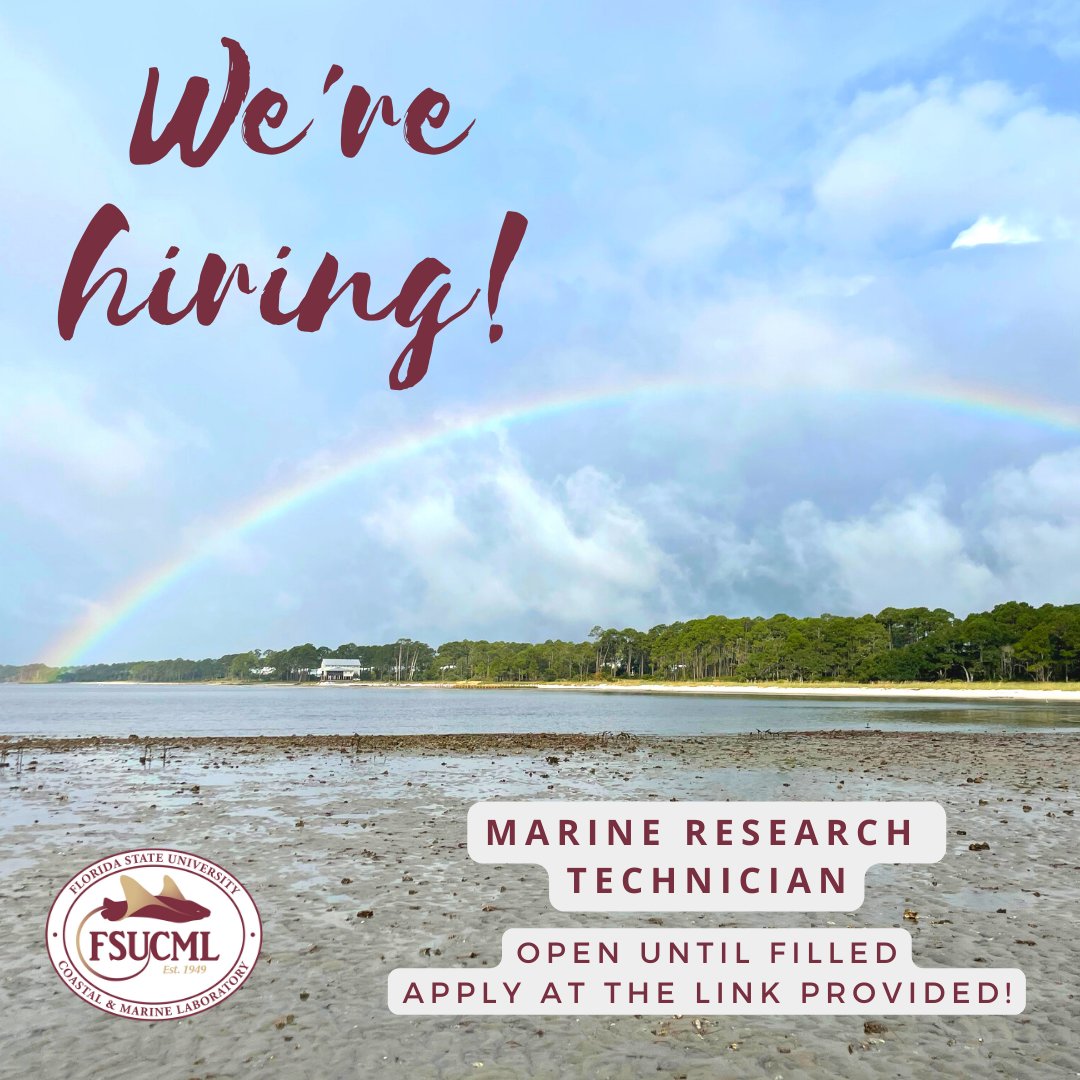FSUMarineLab's tweet photo. Hiring! Marine Research Technician. This job assists with the management of field &amp; laboratory operations &amp; the management of data entry, analysis, &amp; archiving, and the facilitation of the Apalachicola Bay System Initiative faculty research.  Apply today! https://t.co/LGFa0KjCat https://t.co/Xdxsr89erN