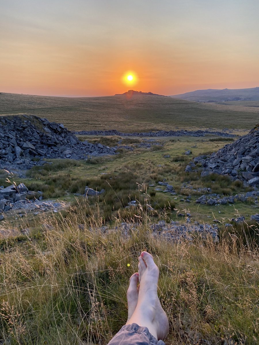 Elizabeth Wainwright tweet media