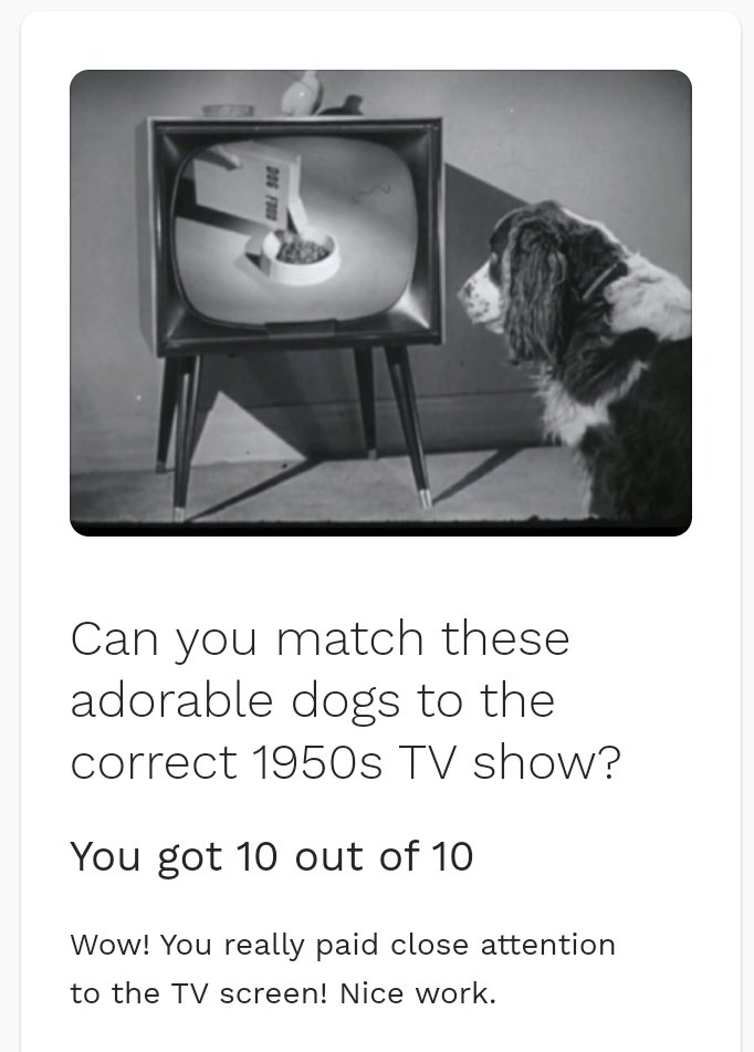 Otalia69's tweet photo. @MeTV Happy #NationalMuttDay...🐶 #the50s #TVDogs https://t.co/NtFU7EsxnP