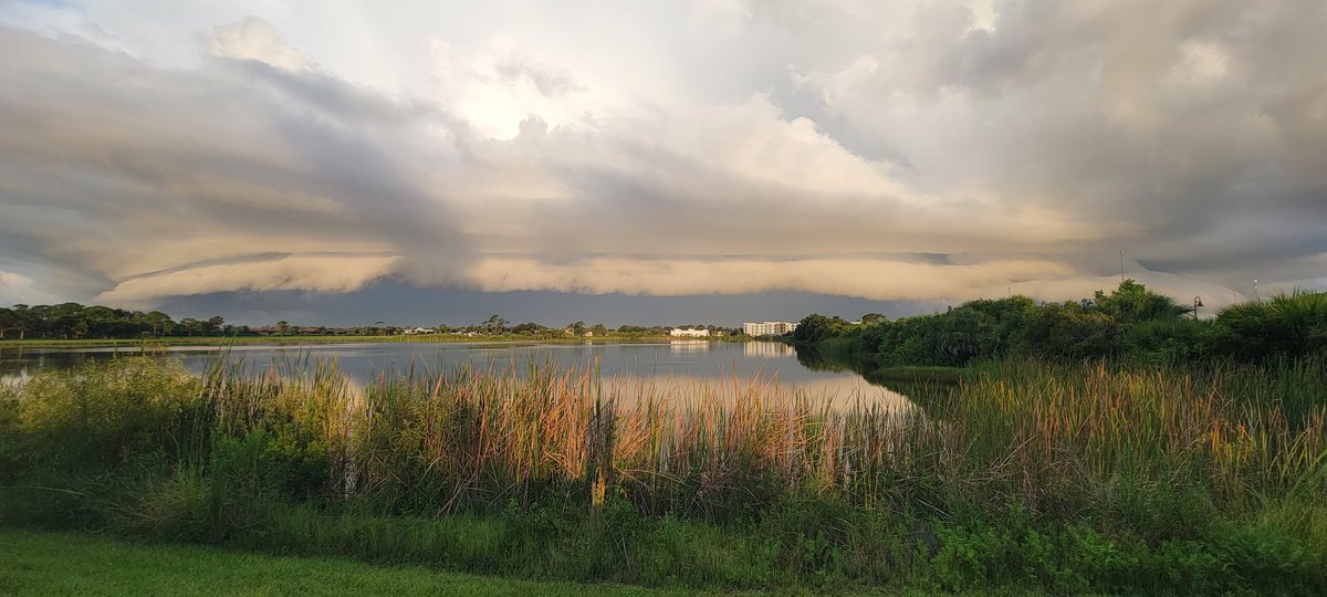 Storms rolling into Venice Florida this morning.  <a href="/AmandaLaurenWx/">Amanda Pappas</a> @MattDevittWINK