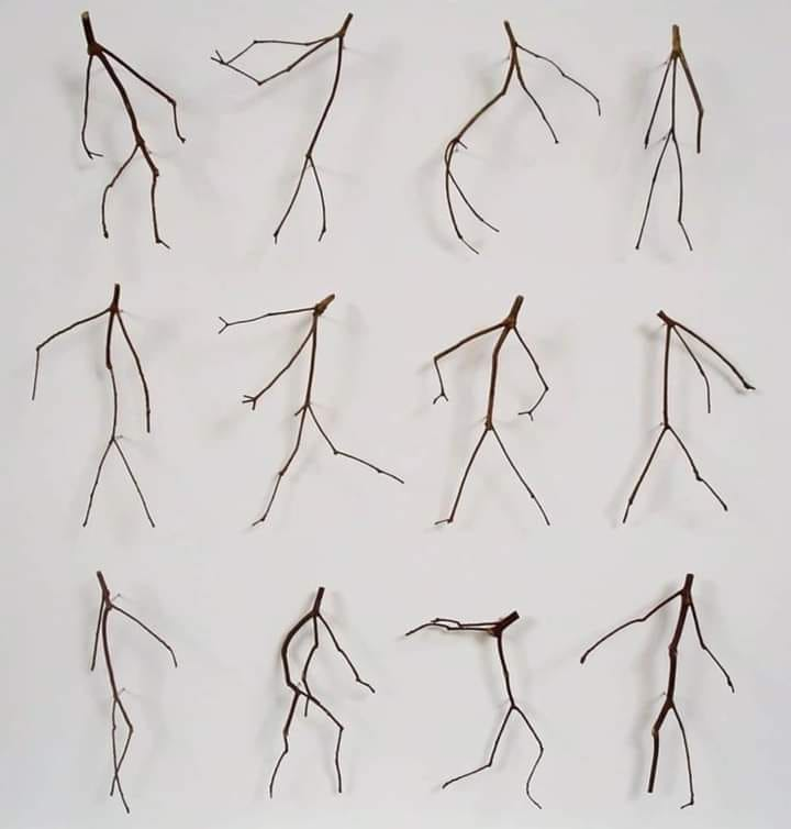EnsedeCiencia's tweet photo. Una mente muy curiosa recolectó estas ramas de árbol y las llamo “la naturaleza bailando”. https://t.co/azRwOYZ7dU