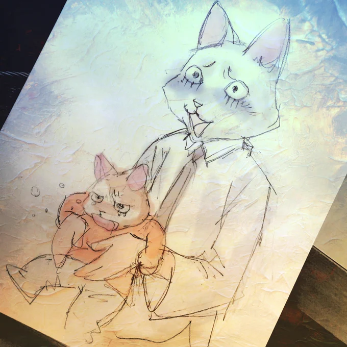 猫丸2016
