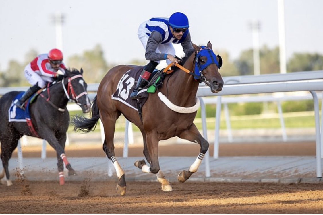 tatts_online's tweet photo. #TattsOnline graduate 𝗪𝗢𝗡𝗗𝗘𝗥 𝗘𝗟𝗭𝗔𝗔𝗠 secured a 3L win in Saudi Arabia on Saturday for @Sami_alhurabi 

He was sold by @AllianceBloods1 to Yousef Alturaif @yousft for 31,000 guineas in the 2022 September Online Sale 

Congratulations to all connections! 

📸 Photo Credit: @JCSA_Racing