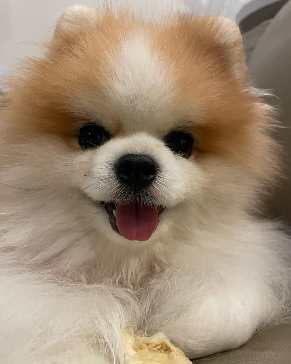 mktforally's tweet photo. วันนี้มีตัวแทน มาแทนจิ๋วค่าาาาาา
คิดถึงที่สุดเลอ 🥹
IG | littlemiss.april
#aprilbar https://t.co/twfH6QEVoW