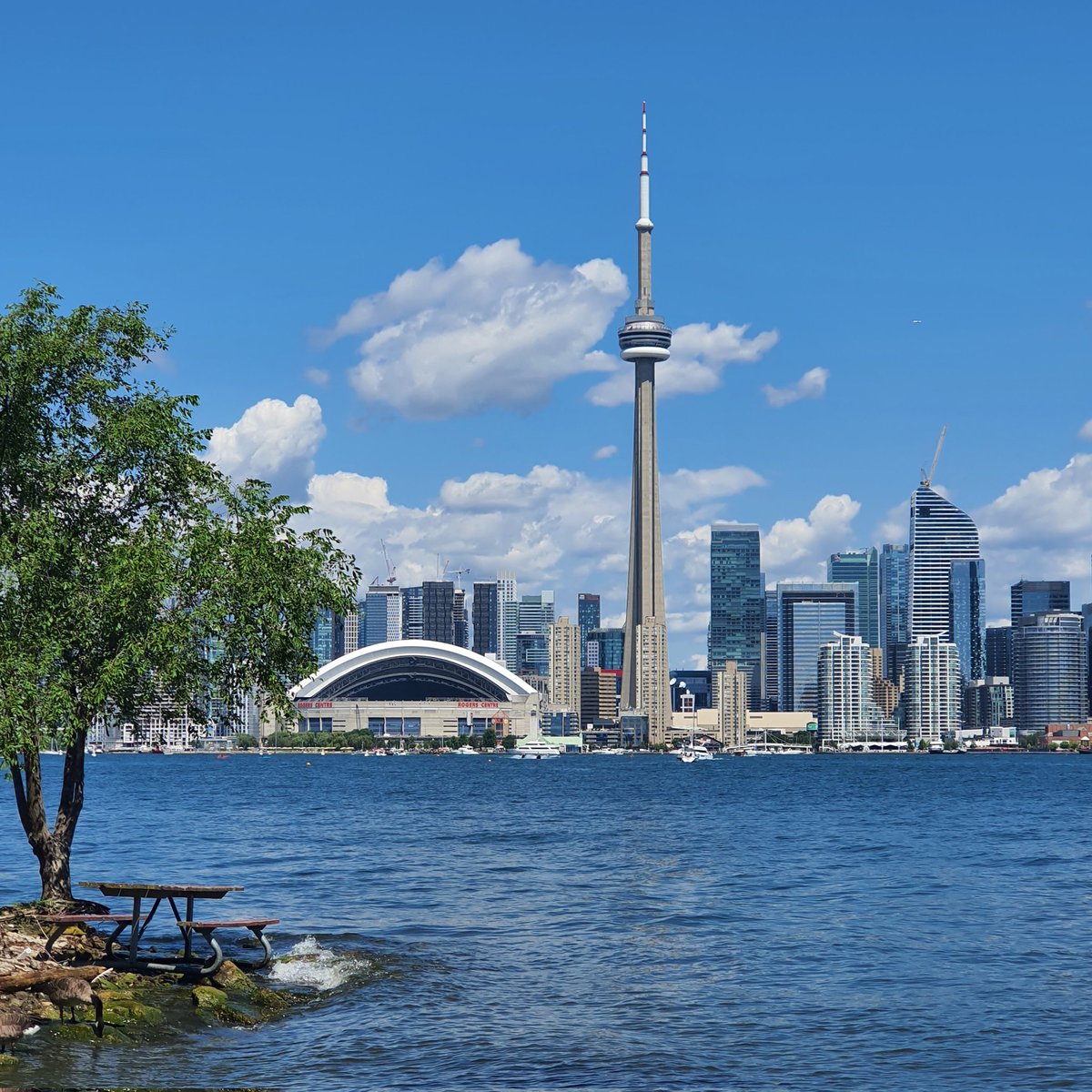 Victor Cazals tweet media