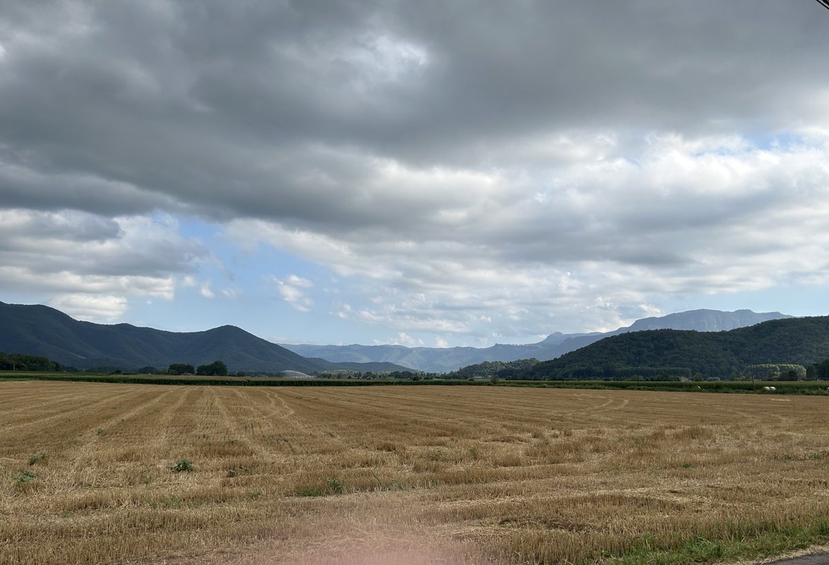 tfreixest@gmail.com tweet media