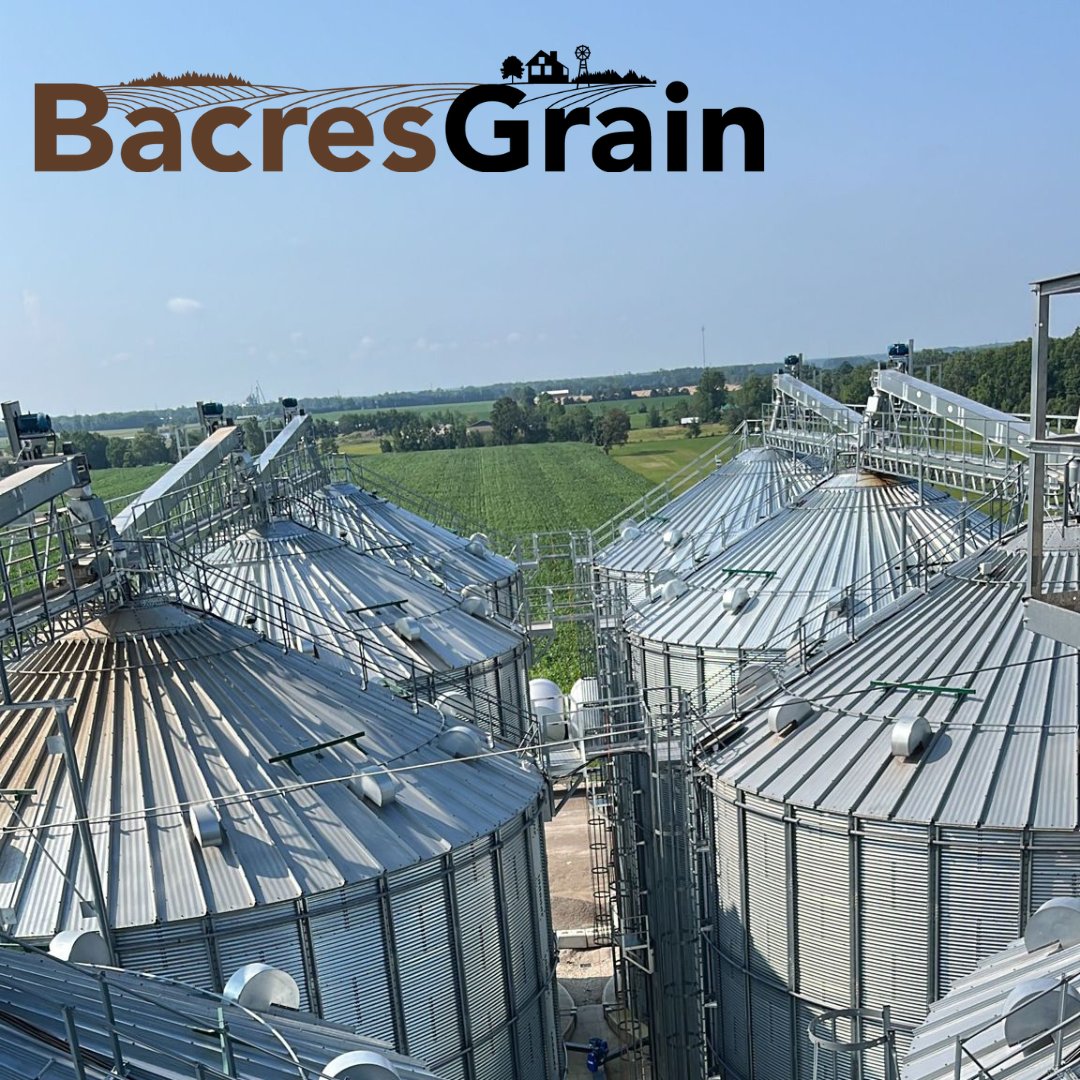 BacresG's tweet photo. Did you know we offer a wide selection of grain contracts tailored to your marketing needs as a producer? We also have our own in-house logistics team! Find out more here https://t.co/L173caCMcm https://t.co/wyK301ATyF