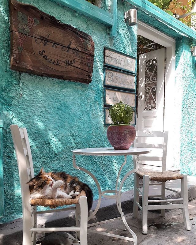 barbypada's tweet photo. ♡♡♡🐱♡♡♡ https://t.co/qYaeIh6uaB