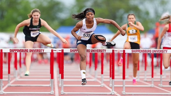 AOPathletics's tweet photo. Trio Of AOP Girls' Track &amp; Field Standouts Garner 2023 PA Milesplit Honors https://t.co/Yg1KLWpNIR @Wood_Vikings @RyanTFXC @WCPrep @joemasonwrites @mpcabrey @ADRobinson3 @PhSportsDigest @johnknebels @bctesche @PennTrackXC https://t.co/0VcqsDDXtw