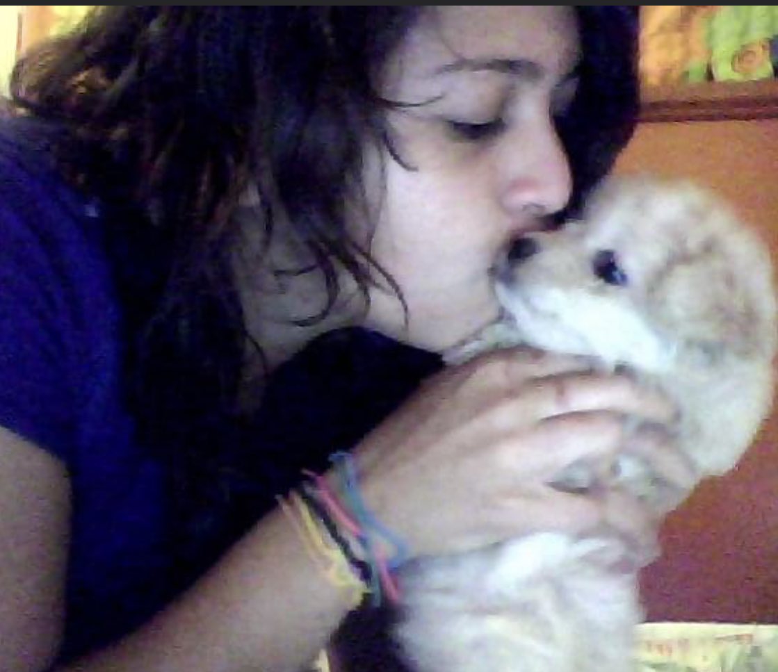 criptolawyer's tweet image. Motica Alejandra tuvo una vida formidable, fué amada intensamente y vivió incontables aventuras. 

Hoy la despedimos, fué mi amiga incondicional durante 14 años y nos tocó la amarga decisión de dejarla ir en silencio, pues prolongar el dolor era lo contrario a amarla. 

Me duele…