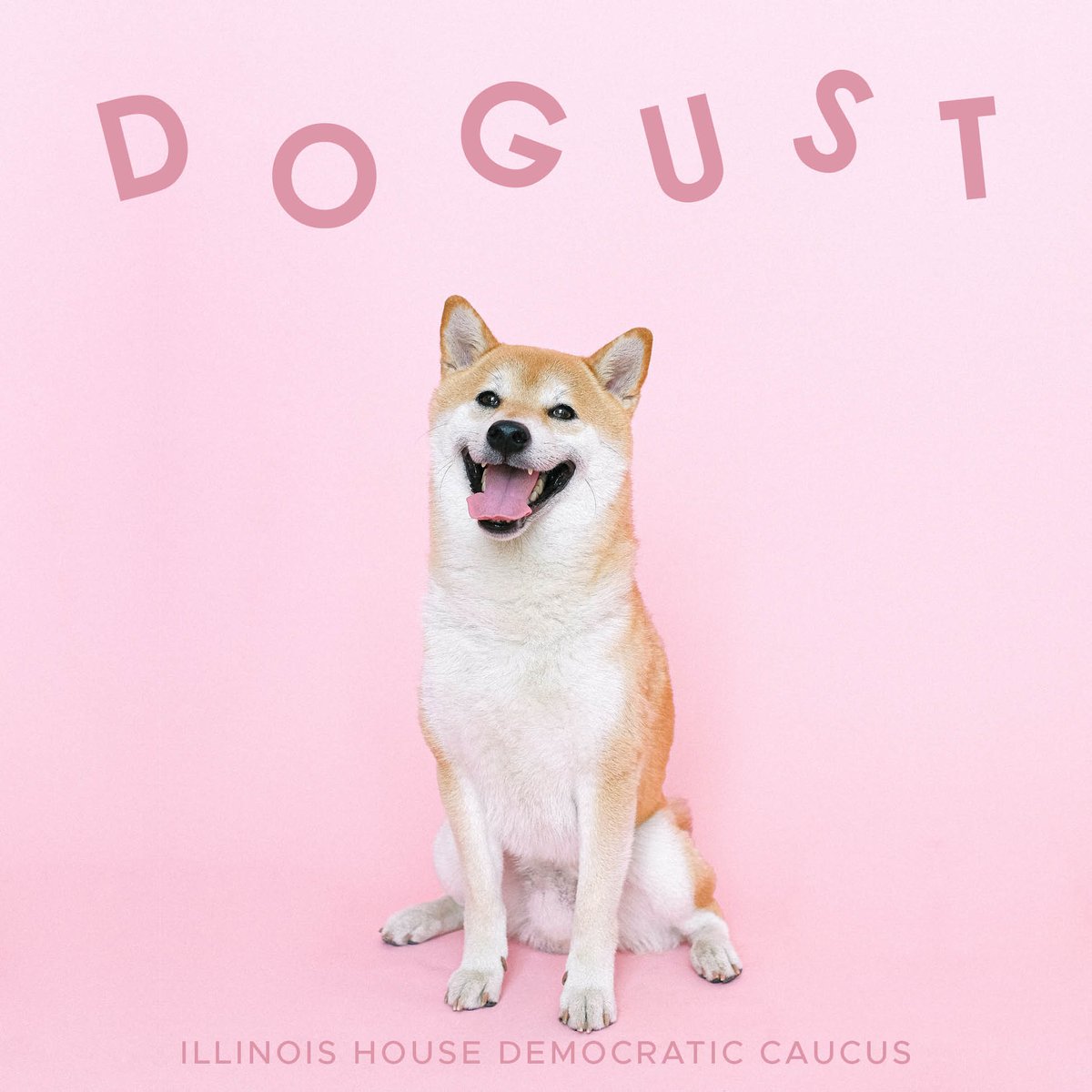 The exact birthdates of shelter dogs are often not known, but they still deserve treats and extra belly rubs! On August 1 we celebrate Dogust, a shared birthday for all shelter and rescue dogs. Happy birthday to our furry friends!