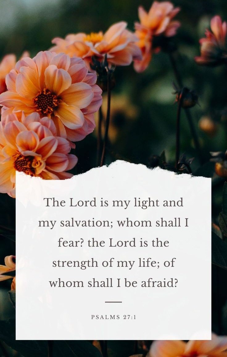 Liz_529's tweet photo. Lord Jesus, You are my light and salvation and the defense of my life -- whom shall I fear?  (Psalm 27:1)

I ascend into the hill of the Lord and stand in His presence and seek His face.  (Psalm 24:3,6)

I lift my head up to behold the King of Glory who delivers me.  (Psalm 24:8)

I wait on the Lord and lift up my soul to receive His compassion and lovingkindness.  (Psalm 25:1,3,6)
