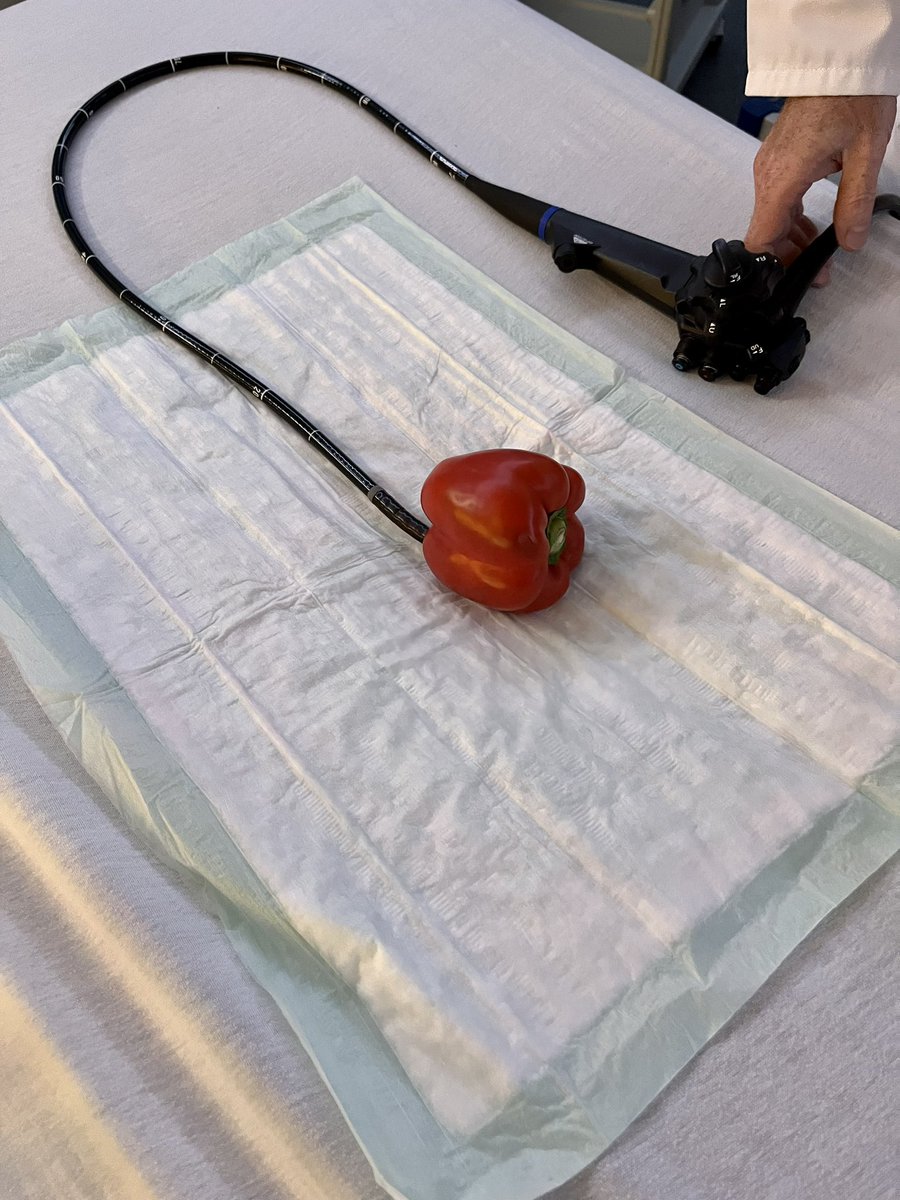 Senatsverwaltung WGP tweet media