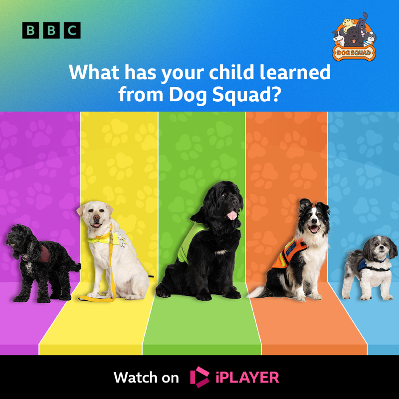 CBeebiesHQ's tweet photo. Celebrate Assistance Dog Day with Dog Squad on @BBCiPlayer 🙌 🦮

#DogSquad #AssistanceDogDay #ServiceDogs https://t.co/fQ5ftMmcSe