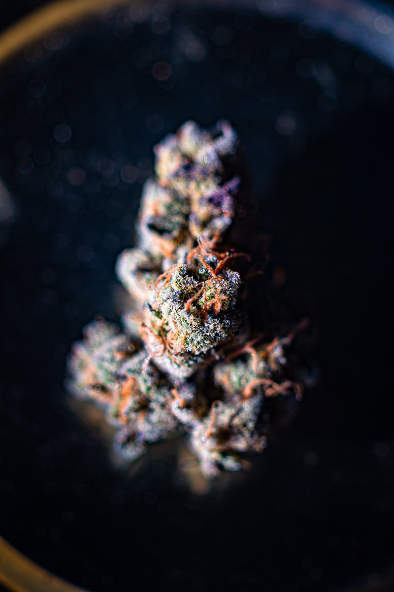 DUNKonDUNKS's tweet photo. If u like #weed you’ll like these shots I took recently!!!! #bud #weedphotography @CanonUSA #canonR3 #macro #macrophotography #macroweed https://t.co/Cdhzvnpyjs