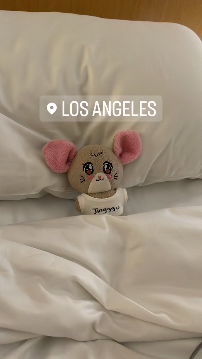 Jingggxd's tweet photo. Jet lagged Jinggg in LA 😴😴😴 https://t.co/E9lgTIYuPn